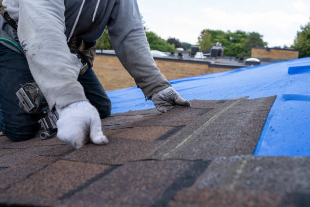 Best Roof Gutter Cleaning  in South Alamo, TX