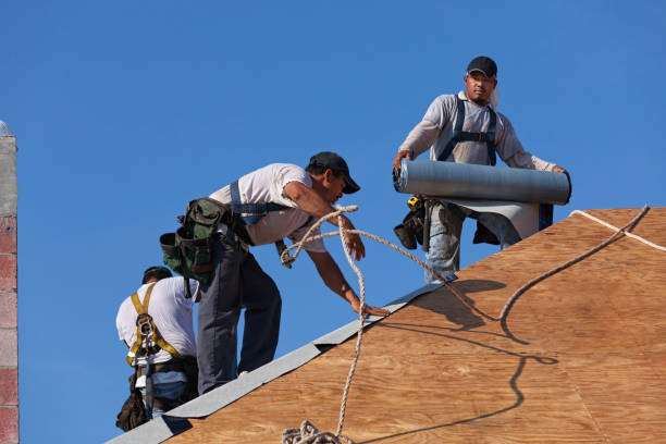 Professional Roofing Contractor in South Alamo, TX