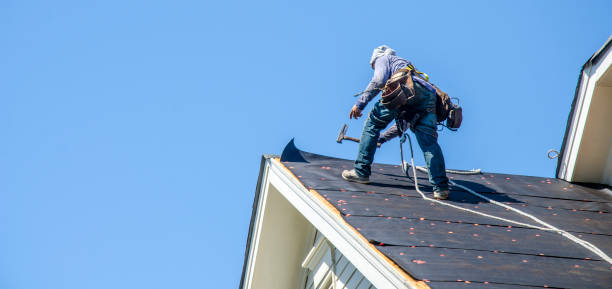 Roof Gutter Cleaning in South Alamo, TX